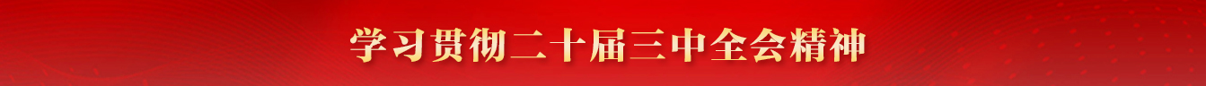 學(xué)習(xí)貫徹黨的二十屆三中全會(huì)精神
